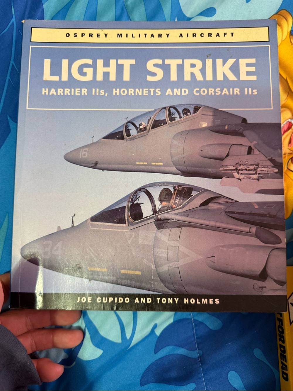 Light Strike Harrier IIs Hornets and Corsair IIs Osprey Military Aircraft Book